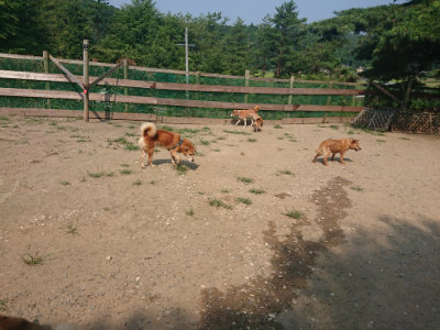 f:id:roukenhome-ann:20190802184034j:plain