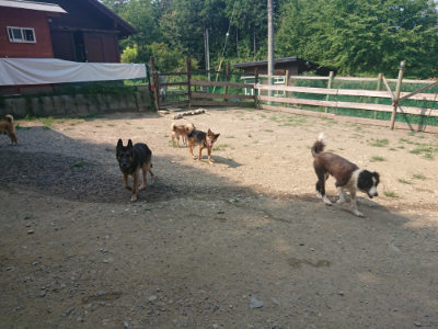 f:id:roukenhome-ann:20190802184040j:plain