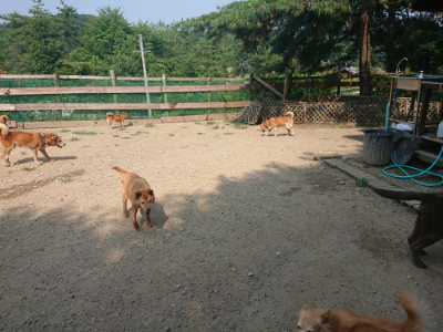 f:id:roukenhome-ann:20190802184105j:plain