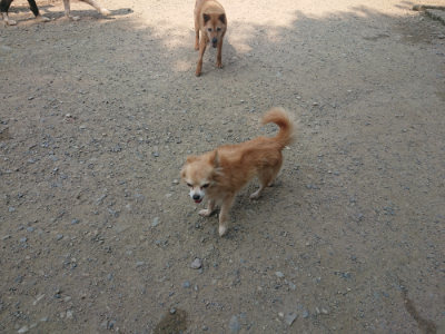 f:id:roukenhome-ann:20190802184123j:plain