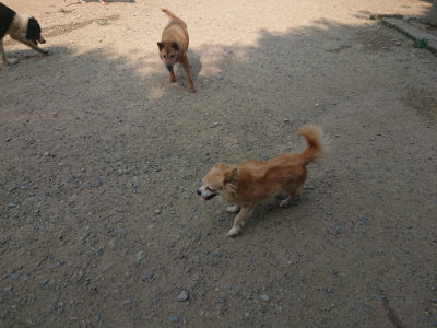 f:id:roukenhome-ann:20190802184139j:plain