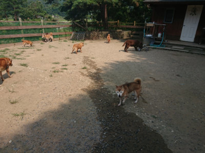 f:id:roukenhome-ann:20190802184157j:plain