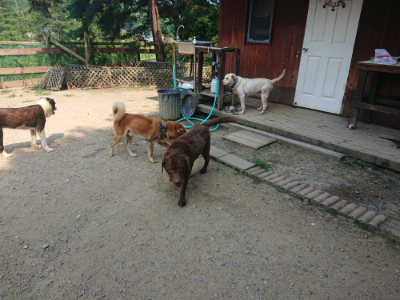 f:id:roukenhome-ann:20190802184945j:plain