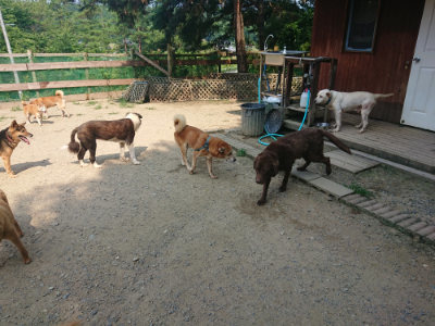 f:id:roukenhome-ann:20190802185005j:plain