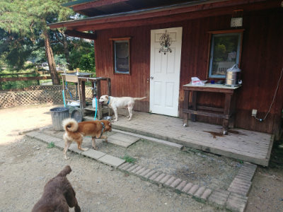 f:id:roukenhome-ann:20190802185010j:plain