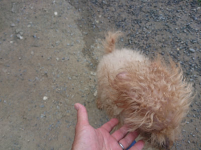 f:id:roukenhome-ann:20190802185022j:plain