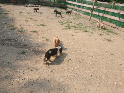 f:id:roukenhome-ann:20190802185038j:plain