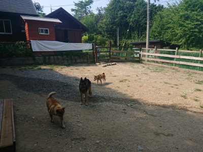 f:id:roukenhome-ann:20190802185106j:plain