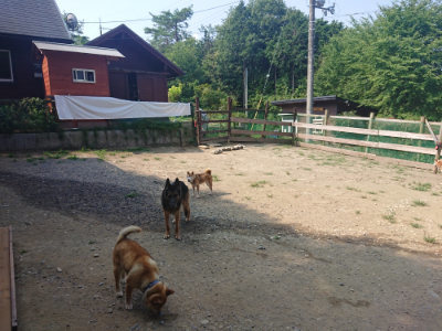 f:id:roukenhome-ann:20190802185125j:plain