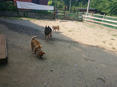 f:id:roukenhome-ann:20190802185139j:plain