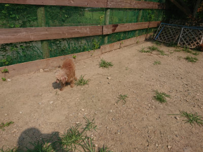 f:id:roukenhome-ann:20190802185157j:plain