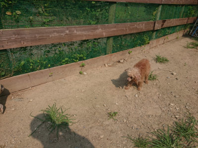 f:id:roukenhome-ann:20190802185248j:plain