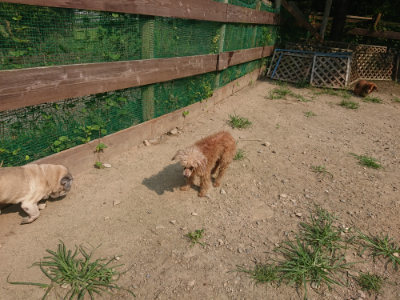 f:id:roukenhome-ann:20190802185331j:plain