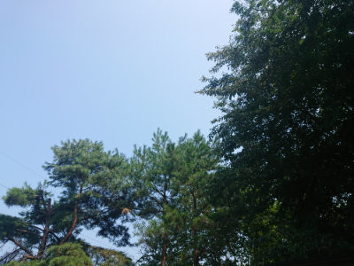 f:id:roukenhome-ann:20190802185348j:plain