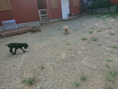 f:id:roukenhome-ann:20190802185501j:plain
