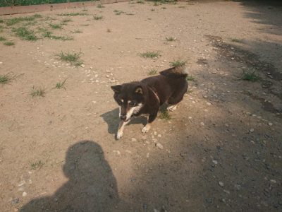 f:id:roukenhome-ann:20190802185549j:plain