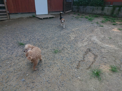 f:id:roukenhome-ann:20190802185945j:plain