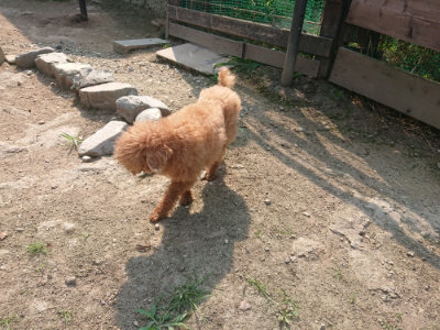 f:id:roukenhome-ann:20190802185956j:plain