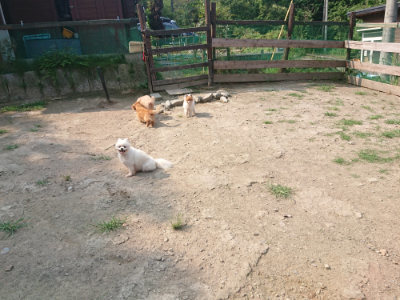 f:id:roukenhome-ann:20190802190014j:plain