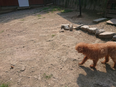 f:id:roukenhome-ann:20190802190032j:plain