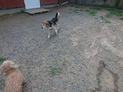 f:id:roukenhome-ann:20190802190038j:plain
