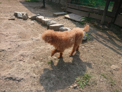 f:id:roukenhome-ann:20190802190050j:plain