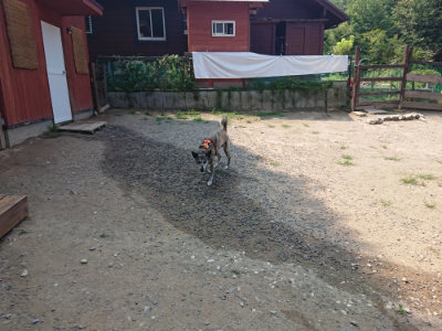 f:id:roukenhome-ann:20190802190055j:plain