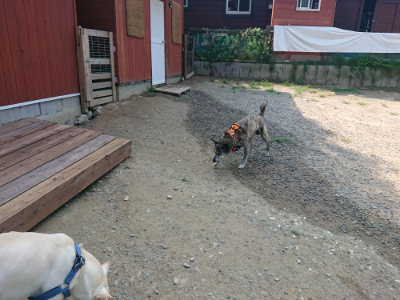 f:id:roukenhome-ann:20190802190133j:plain