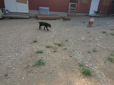 f:id:roukenhome-ann:20190802190139j:plain