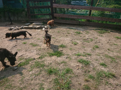 f:id:roukenhome-ann:20190802190211j:plain