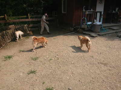 f:id:roukenhome-ann:20190802190324j:plain