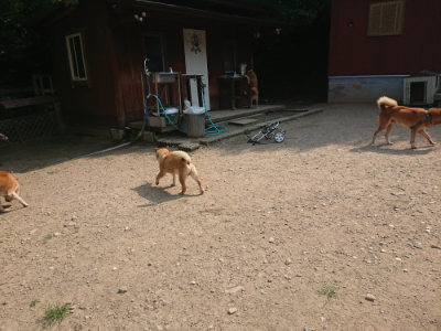 f:id:roukenhome-ann:20190802190352j:plain