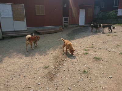f:id:roukenhome-ann:20190802190402j:plain