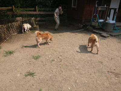f:id:roukenhome-ann:20190802190414j:plain