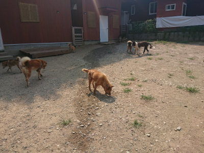 f:id:roukenhome-ann:20190802190431j:plain