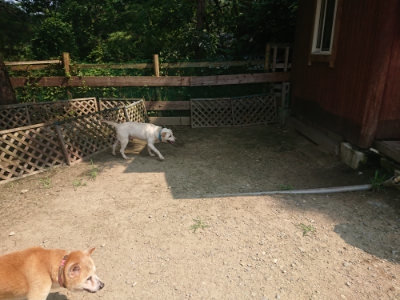 f:id:roukenhome-ann:20190802190437j:plain