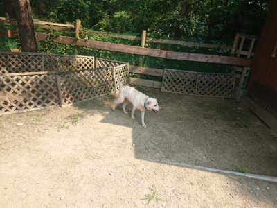 f:id:roukenhome-ann:20190802190448j:plain