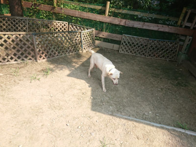 f:id:roukenhome-ann:20190802190454j:plain