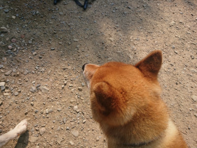 f:id:roukenhome-ann:20190802190540j:plain