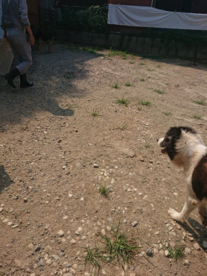 f:id:roukenhome-ann:20190802190711j:plain