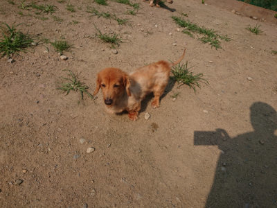 f:id:roukenhome-ann:20190802191729j:plain