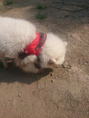 f:id:roukenhome-ann:20190802191810j:plain