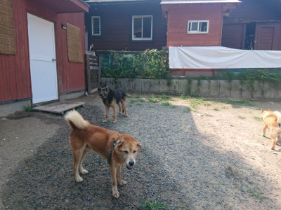 f:id:roukenhome-ann:20190802191815j:plain