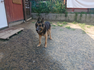 f:id:roukenhome-ann:20190802191821j:plain