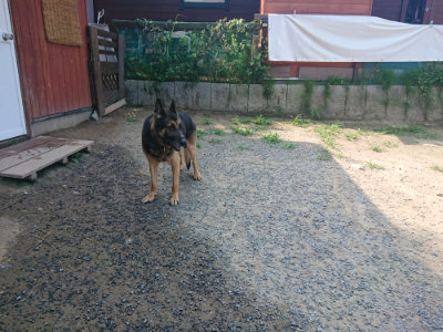 f:id:roukenhome-ann:20190802191842j:plain