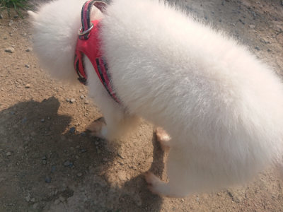 f:id:roukenhome-ann:20190802191903j:plain