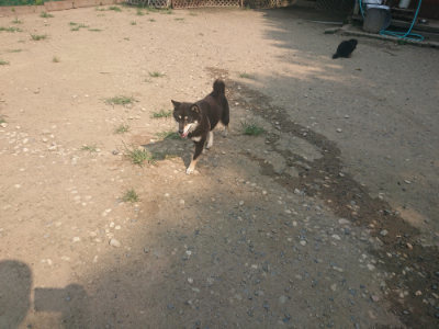 f:id:roukenhome-ann:20190802191907j:plain