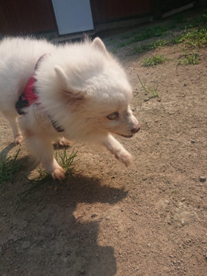 f:id:roukenhome-ann:20190802191923j:plain