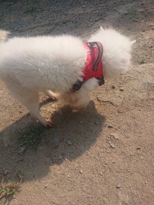 f:id:roukenhome-ann:20190802191944j:plain