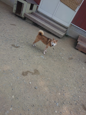f:id:roukenhome-ann:20190802192006j:plain